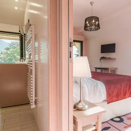 Le Comptoir De Sebastien - La Et Le Port - 2 Duplex - 100m De La De Apartment Talloires